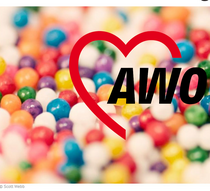 Foto: Scott Webb (Quelle: https://arbeiterwohlfahrt.de/vielfaltsbewusst-fuehrung)